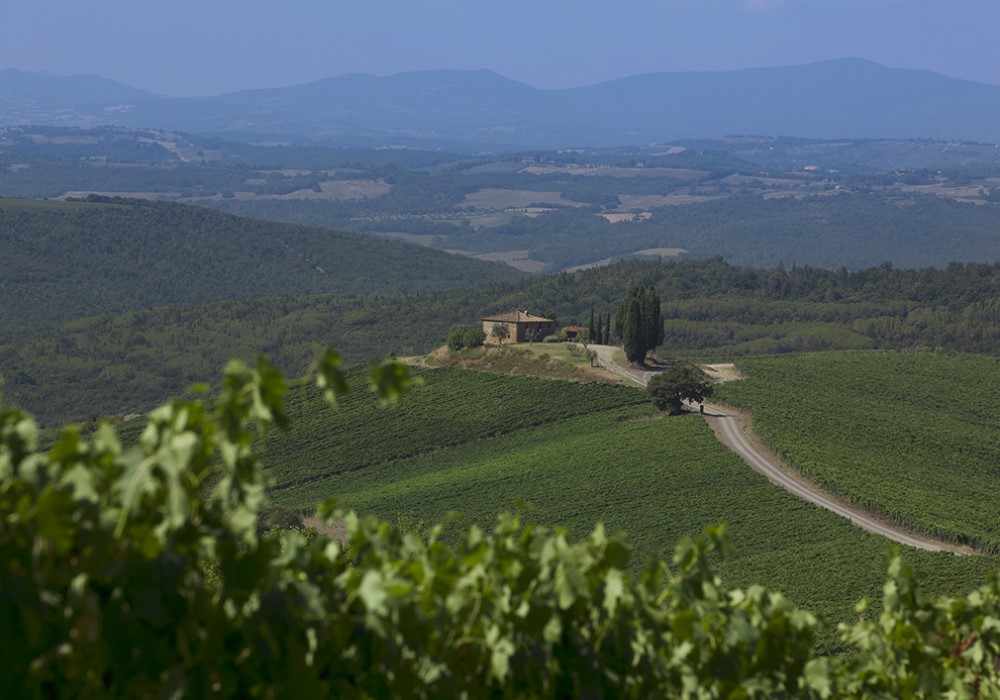 CASTIGLION BOSCO
Intervista a Cecilia Leoneschi