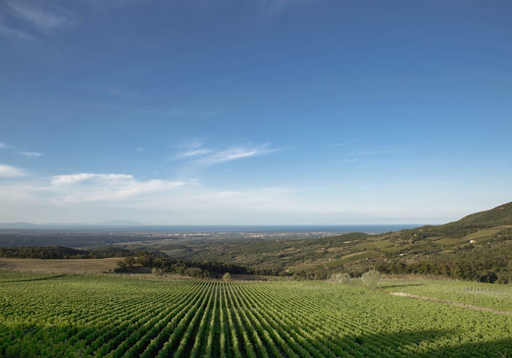CASTIGLION BOSCO
Intervista a Cecilia Leoneschi